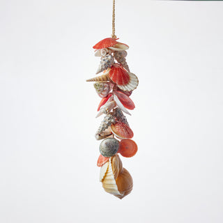 Tona Seashell Cluster