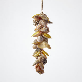 Rafana Seashell Cluster