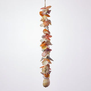 Large Seashell Cluster