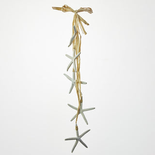 Bleached Starfish Hanger