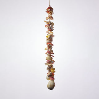 Extra Large Seashell Cluster