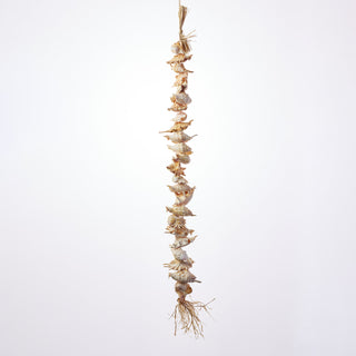 Lambis Shell Hanger