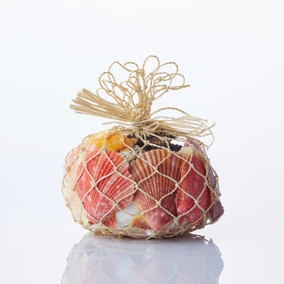 Shells in Abaca Small
