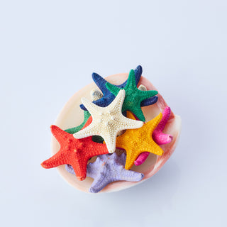 Coloured Starfish Pack