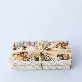 White Shell Box in Netting
