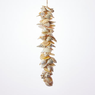 All White Shell Cluster