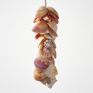 Clamshell and Snailshell Cluster