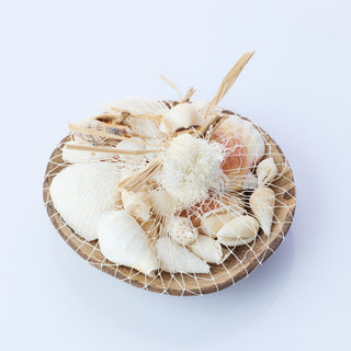 Mixed Shells in Coconut
