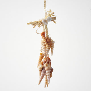 Turetella Shell Hanger