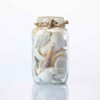 Shells in Glass Jar