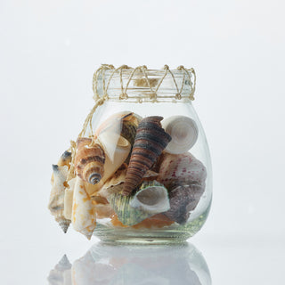 Shells in Bottle with Abaca