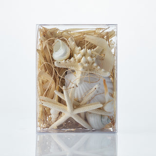 Boxed Hanging Shell Ornaments
