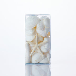 White Mixed Box of Shells