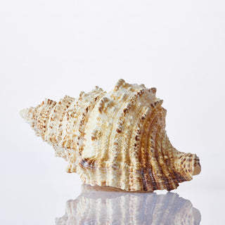 Bursa Bobo Approx 25cm