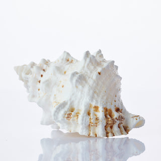 Bursa Bobo Approx 10cm