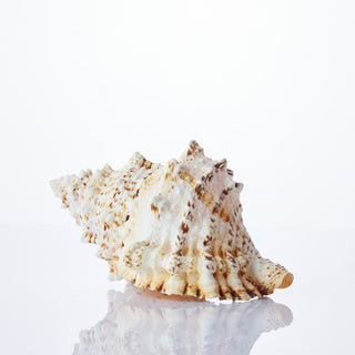 Bursa Bobo Approx 15cm