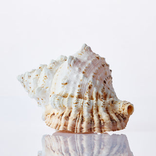 Bursa Bobo Approx 18cm