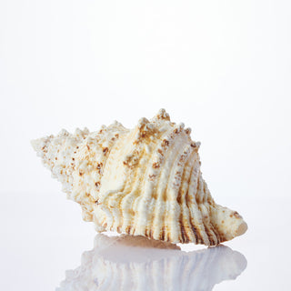 Bursa Bobo Approx 20cm