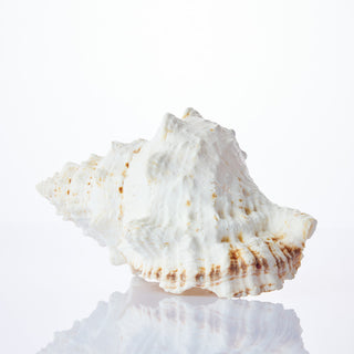 Bursa Bobo Approx 22cm