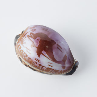 Custom Carved Cowrie Shell with Turtle