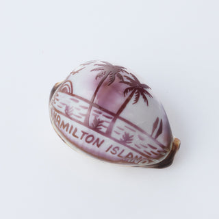 Custom Carved Cowrie Shell with Turtle
