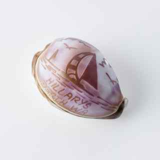 Custom Carved Cowrie Shell with Turtle
