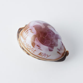 Custom Carved Cowrie Shell with Turtle