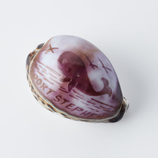 Custom Carved Cowrie Shell with Turtle