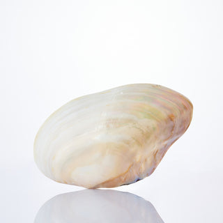 Polished Cabebe Approx 25cm