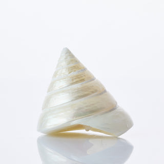 Tectus Pyramid Pearl Approx 6cm