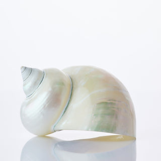 Turbo Imperiales Pearlised 10cm