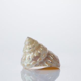 Wavey Top - Pearlised - 10cm