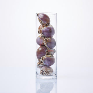 Purple Cowrie Shells in Vase