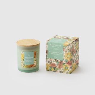 Waxflower Banksia & Flannel Flower Candle 300g