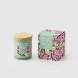 Waxflower Boronia & Paper Daisy Candle 300g