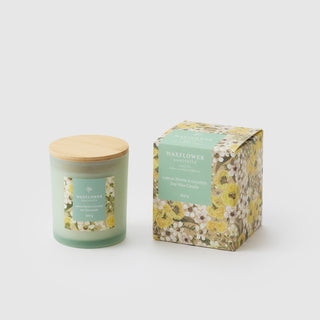 Waxflower Lemon Myrtle & Eucalypt Candle 300g