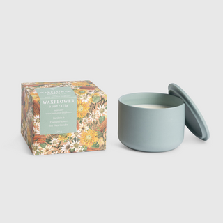 Waxflower Banksia & Flannel Flower Candle 420g