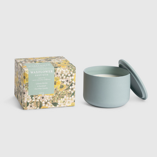 Waxflower Lemon Myrtle & Eucalypt Candle 420g