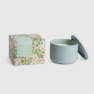 Waxflower Orange Blossom Orchid Candle 420g