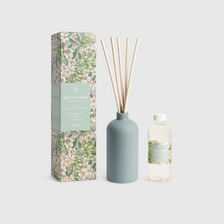Waxflower Orange Blossom Orchid Reed Diffuser 200mL