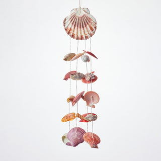 Scallop Seashell Hanger