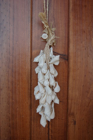 Gibberulus Hanger 40cm